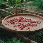 Geprek Bensu Kota Batam: Rasa Pedas yang Menggugah Selera